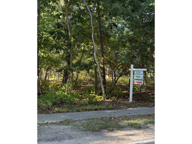 A truly extraordinary opportunity: Extremely rare in East - photo 2