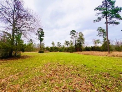 Lake Lot For Sale in Hemphill, Texas