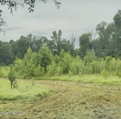 (private lake, pond, creek) Acreage For Sale in Crystal Springs Mississippi