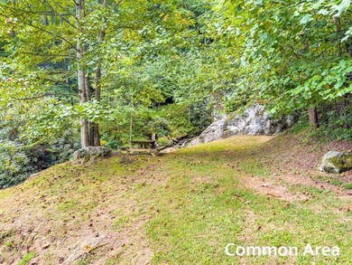 Lot 117 offers an incredible opportunity to own your own piece - photo 44