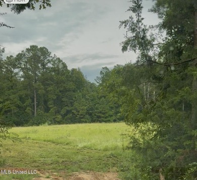 (private lake, pond, creek) Acreage For Sale in Crystal Springs Mississippi