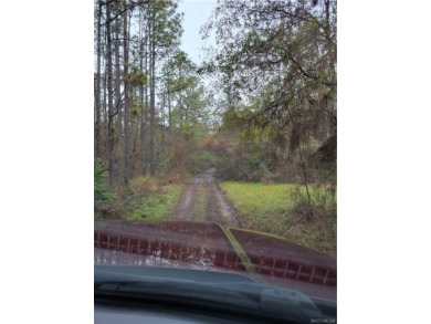 Lake Rousseau Lot For Sale in Dunnellon Florida