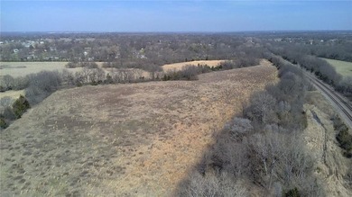 66 ARES OF LIGHT INDUSTRIAL PEC-3 ZONING ACCESS FROM HWY 69 & - photo 2