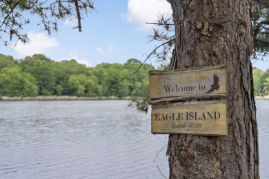 Private lake property with island, pool, & observatory - photo 6