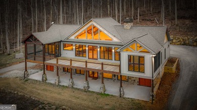 (private lake, pond, coastal) Home For Sale in Blue Ridge Georgia