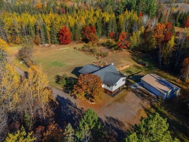 Pelican River Parcel and Home - Lake Home For Sale in Rhinelander, Wisconsin