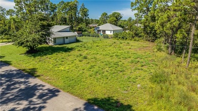 Lehigh Acres Area Lot For Sale in Lehigh Acres Florida