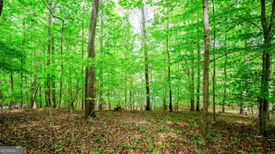 Lake Lot For Sale in Gainesville, Georgia
