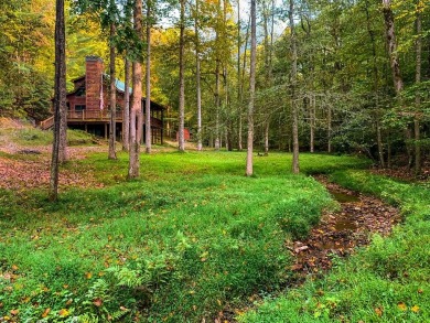 Lake Home For Sale in Ellijay, Georgia