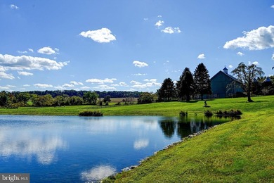 Live authentically. Blissfield... A vision realized. Set upon 54 - photo 30