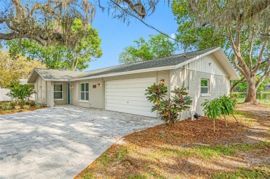 (private lake, pond, creek) Home For Sale in Odessa Florida