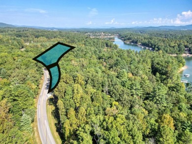 Lake Lot For Sale in Blairsville, Georgia