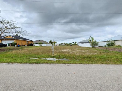 One parcel consisting of two lots in Cape Coral, Florida - the - photo 1
