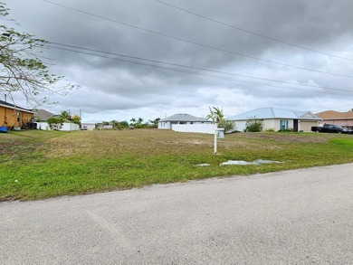 One parcel consisting of two lots in Cape Coral, Florida - the - photo 3