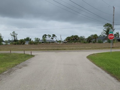One parcel consisting of two lots in Cape Coral, Florida - the - photo 4