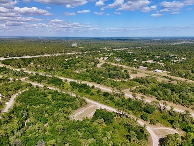 Introducing a fantastic opportunity to own a piece of vacant - photo 11
