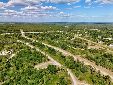 Introducing a fantastic opportunity to own a piece of vacant - photo 12