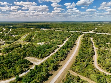 Introducing a fantastic opportunity to own a piece of vacant - photo 13