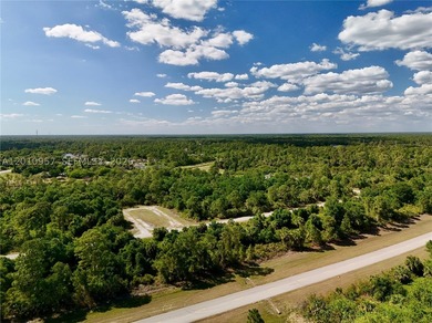 Introducing a fantastic opportunity to own a piece of vacant - photo 15