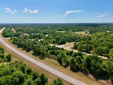 Introducing a fantastic opportunity to own a piece of vacant - photo 16