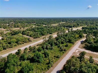Introducing a fantastic opportunity to own a piece of vacant - photo 17