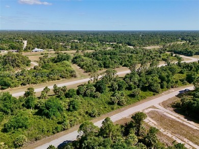 Introducing a fantastic opportunity to own a piece of vacant - photo 18