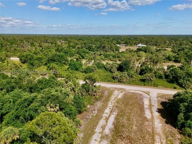 Introducing a fantastic opportunity to own a piece of vacant - photo 19