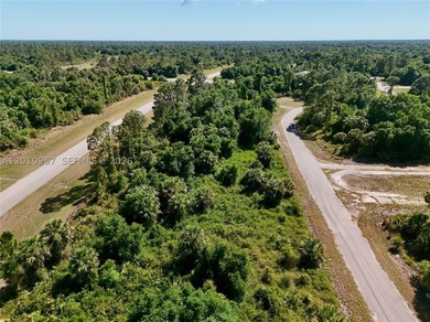 Introducing a fantastic opportunity to own a piece of vacant - photo 21