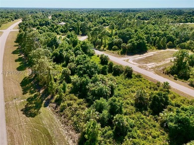 Introducing a fantastic opportunity to own a piece of vacant - photo 22