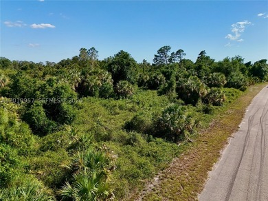 Introducing a fantastic opportunity to own a piece of vacant - photo 24