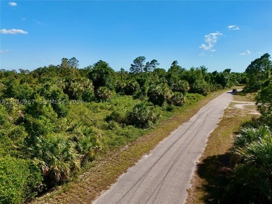 Introducing a fantastic opportunity to own a piece of vacant - photo 25