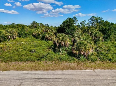 Introducing a fantastic opportunity to own a piece of vacant - photo 26