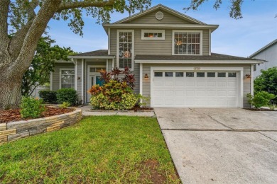 Lake Home For Sale in Tampa, Florida