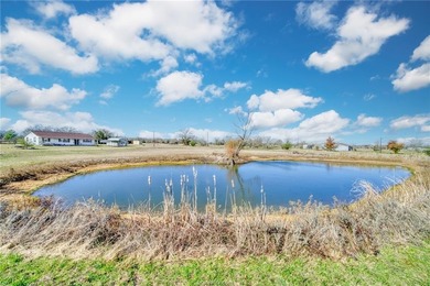 (private lake, pond, creek) Home For Sale in Bedias Texas