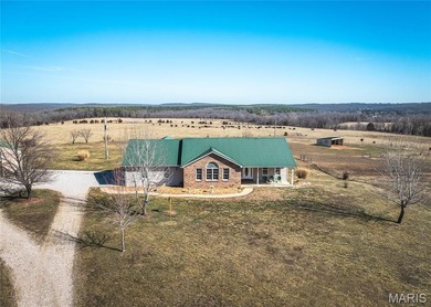 (private lake, pond, coastal) Home For Sale in Plato Missouri