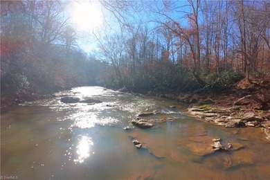 (private lake, pond, coastal) Acreage For Sale in Pinnacle North Carolina