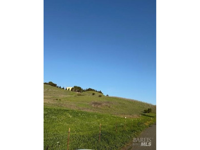 Approximately 22.9 acres zoned medium density currently - photo 2