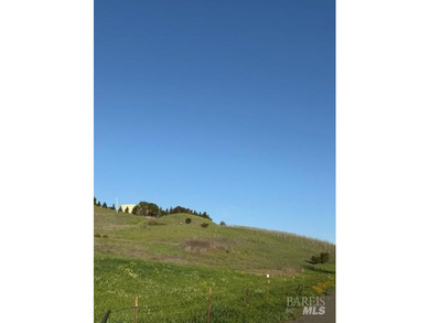 Approximately 22.9 acres zoned medium density currently - photo 4