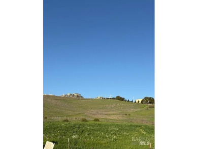Approximately 22.9 acres zoned medium density currently - photo 5