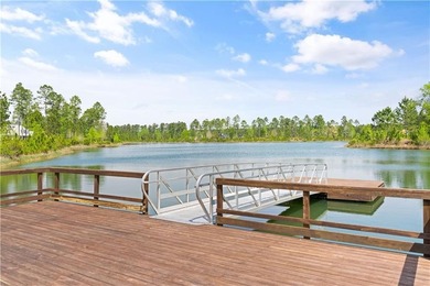 Build your dream home and create the lifestyle you've been - photo 17