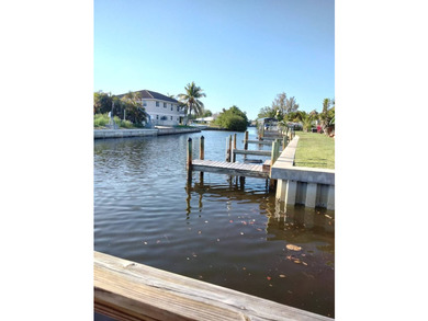 Canal Access!! This home has been beautifully remodeled from the - photo 22