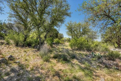 Iconic Crown Ranch with Cedar Branch Creek frontage now - photo 24