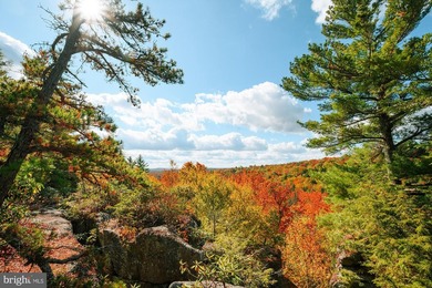 Very motivated sellers!!!Escape to Your Profitable Mountain - photo 40