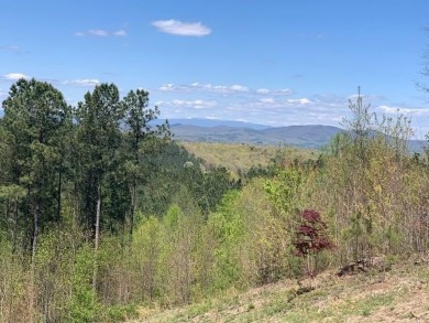 Lake Nottely Lot For Sale in Blairsville Georgia