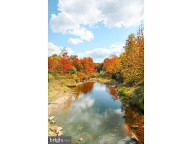Very motivated sellers!!!Escape to Your Profitable Mountain - photo 41
