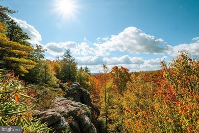 Very motivated sellers!!!Escape to Your Profitable Mountain - photo 43