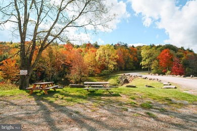 Very motivated sellers!!!Escape to Your Profitable Mountain - photo 45