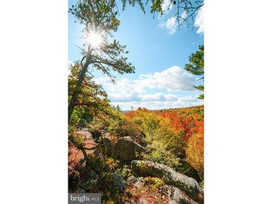 Very motivated sellers!!!Escape to Your Profitable Mountain - photo 46