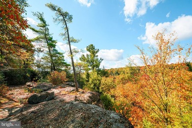 Very motivated sellers!!!Escape to Your Profitable Mountain - photo 47