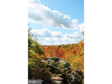 Very motivated sellers!!!Escape to Your Profitable Mountain - photo 48